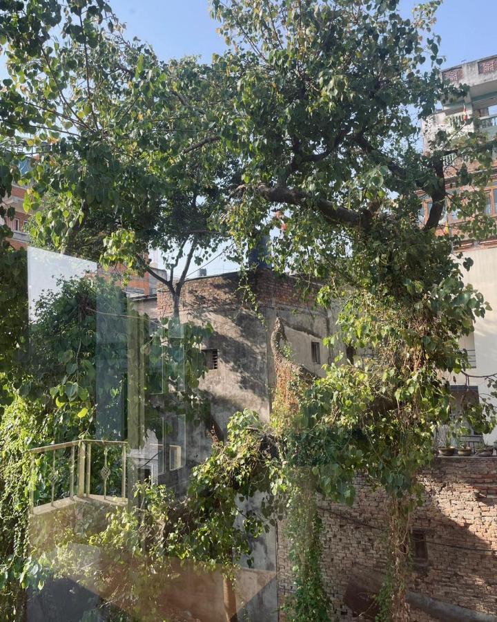 Rooftop Studio And 2Bhk Apartments In Kathmandu'S Most Happening Place Eksteriør bilde